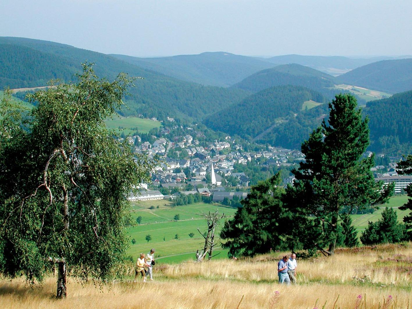 Komfort-Fewo Blickfang Willingen*** Willingen  Extérieur photo